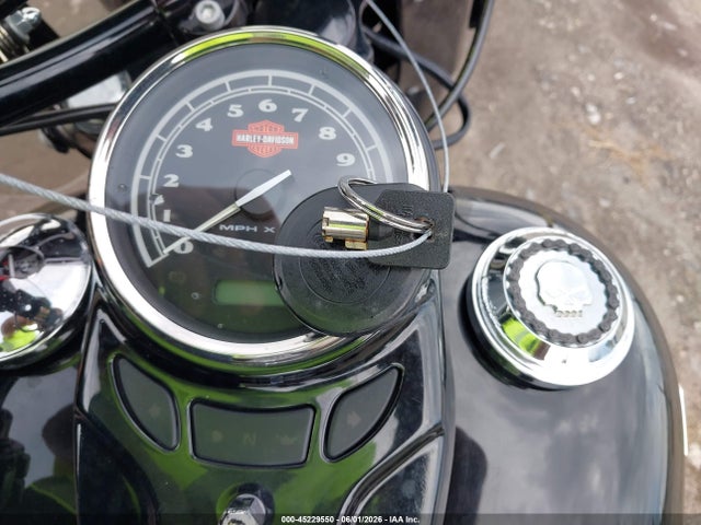 Harley-Davidson Flss