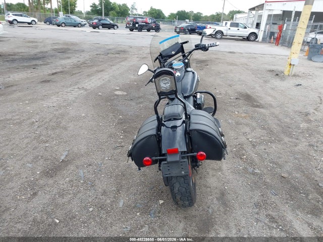 Harley-Davidson Flss
