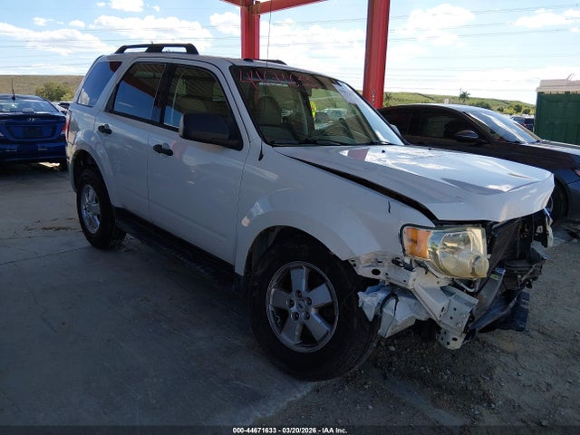 Salvage Ford Escape Image