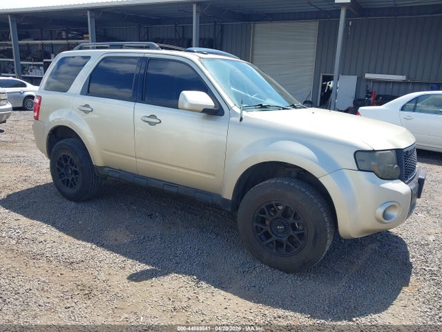 Salvage Ford Escape Image