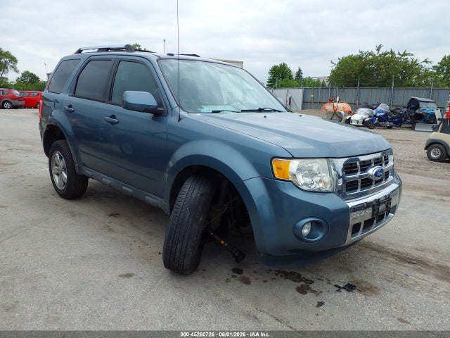 Salvage Ford Escape Image