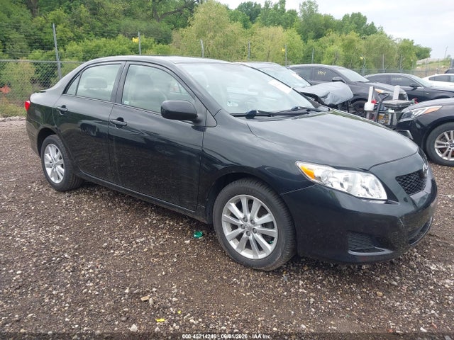 Salvage Toyota Corolla Image