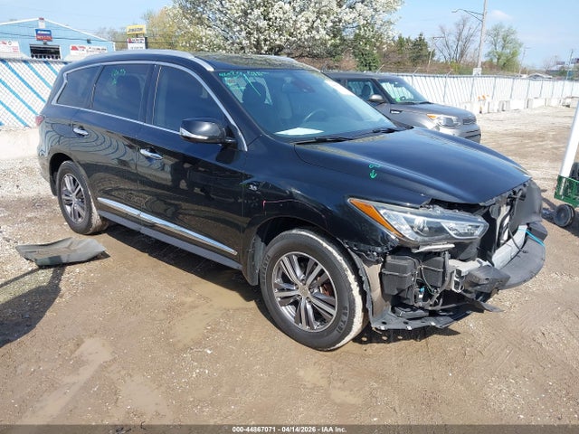 Salvage INFINITI Qx Image
