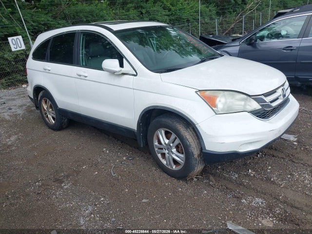 Salvage Honda CR-V Image