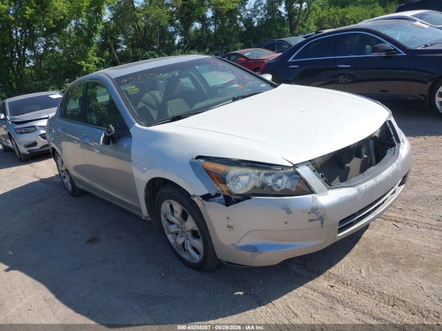 Salvage Honda Accord Image