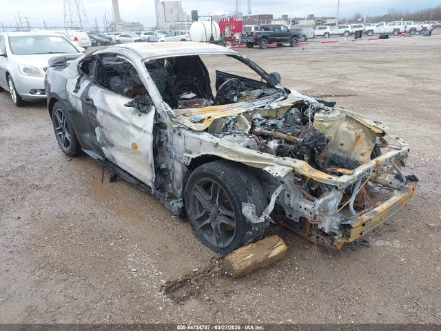 Salvage Ford Mustang Image