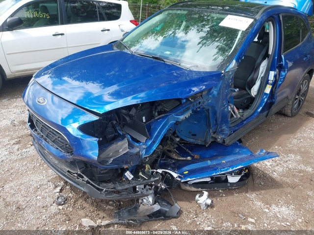 Ford Escape Sel
