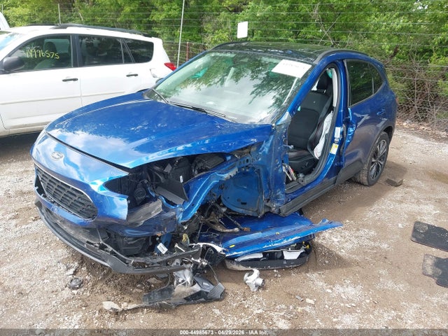 Ford Escape Sel