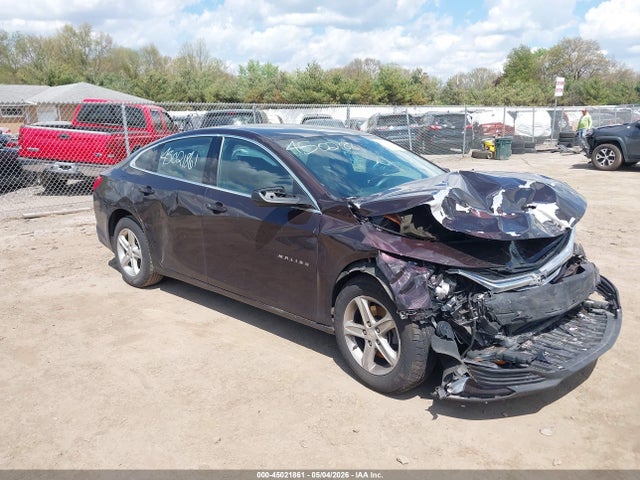 Salvage Chevrolet Malibu Image