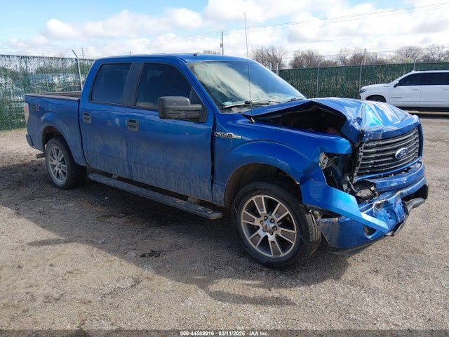 Salvage Ford F-150 Image
