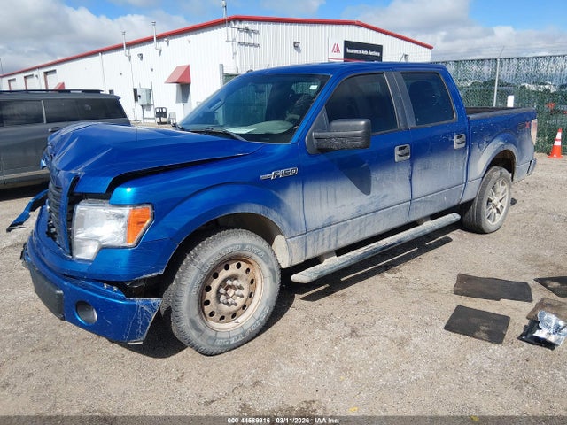 Ford F-150 Stx