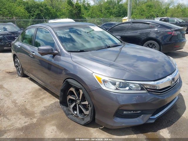 Salvage Honda Accord Image