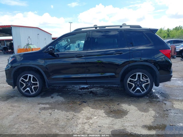 Honda Passport Awd Elite
