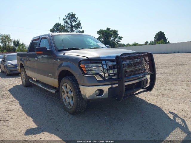 Salvage Ford F-150 Image