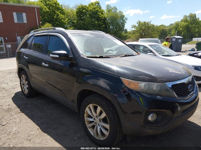 Salvage Kia Sorento Image