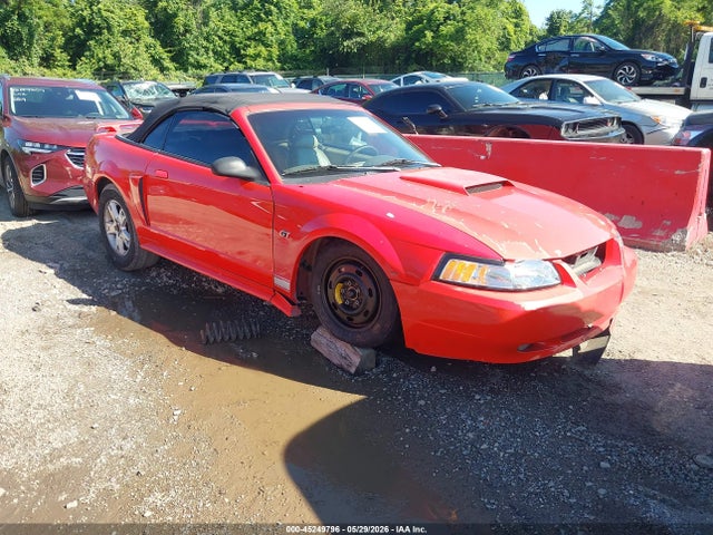 Salvage Ford Mustang Image