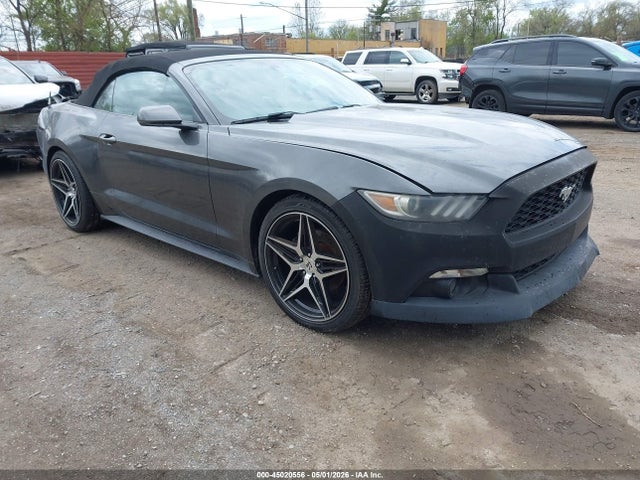 Salvage Ford Mustang Image