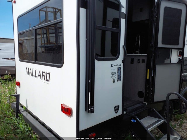 Mallard Other