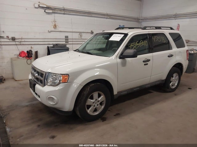 Ford Escape Xlt