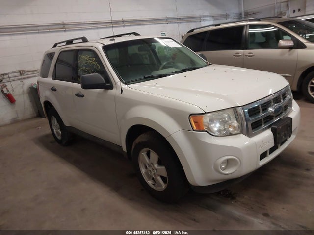 Salvage Ford Escape Image