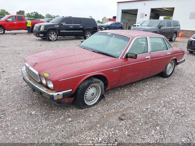 Jaguar Vandenplas