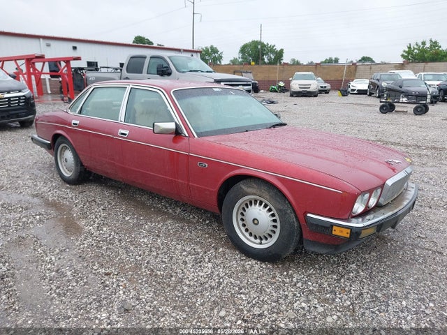 Salvage Jaguar Vandenplas Image