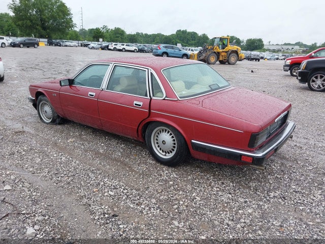 Jaguar Vandenplas