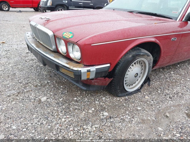 Jaguar Vandenplas