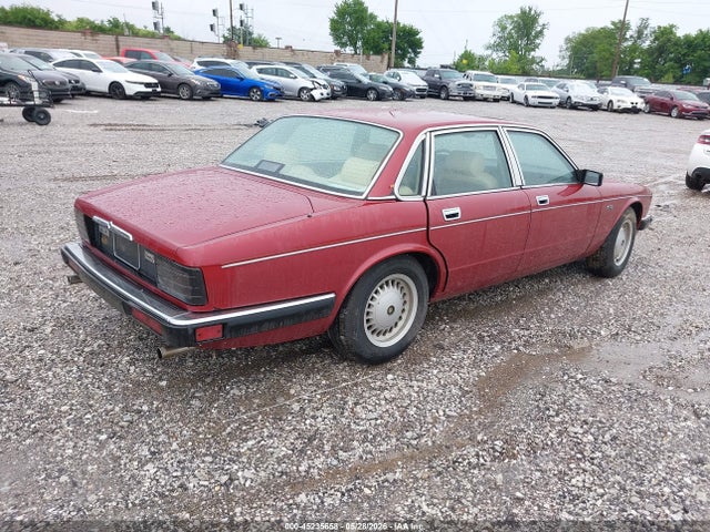 Jaguar Vandenplas