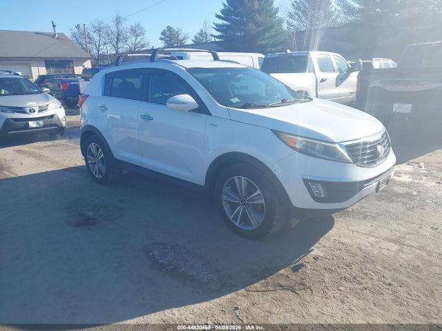 Salvage Kia Sportage Image