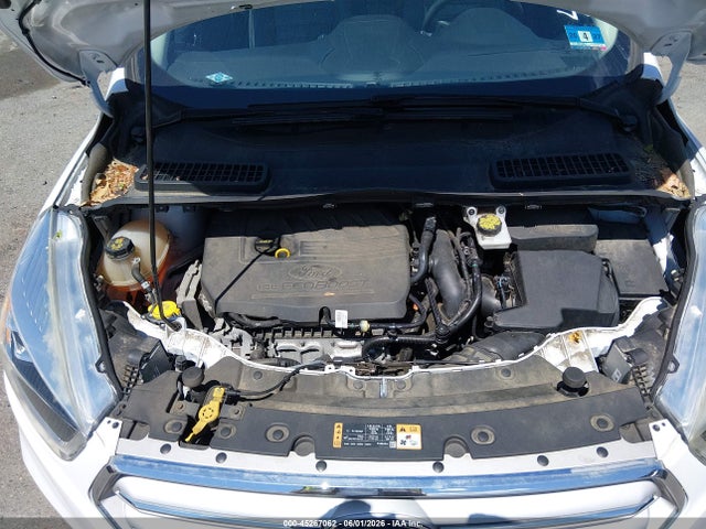 Ford Escape Sel