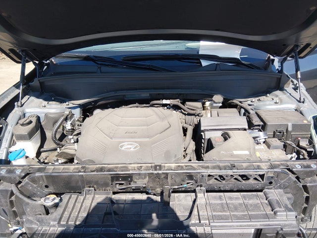 Hyundai PALISADE Calligraphy