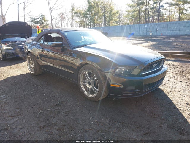 Salvage Ford Mustang Image