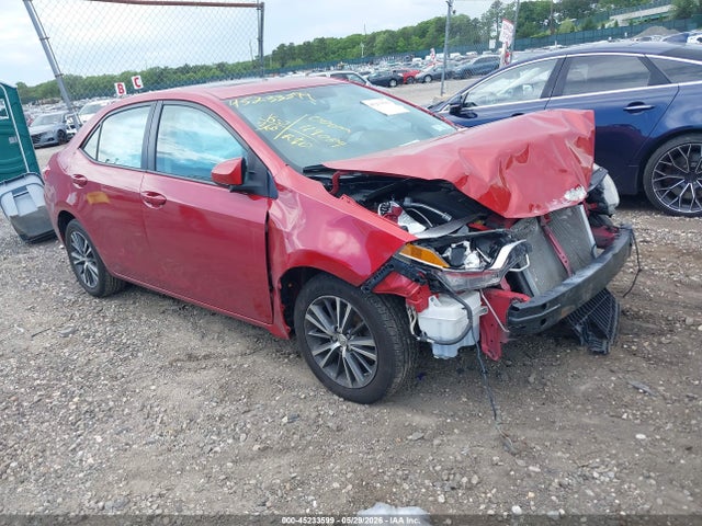 Salvage Toyota Corolla Image