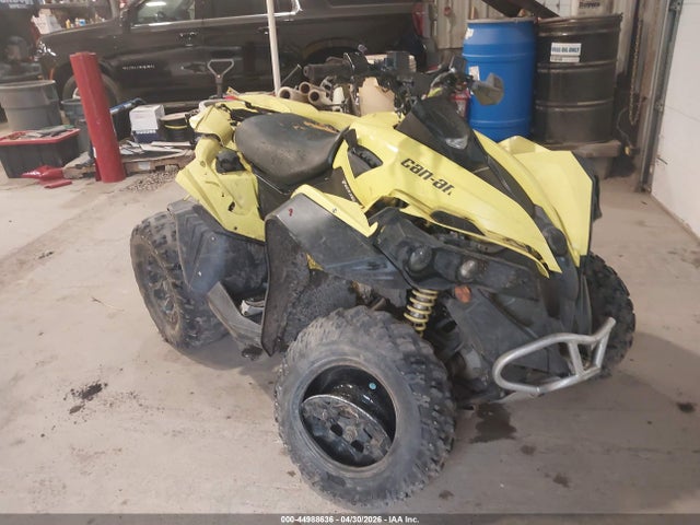 2019 Can-Am Renegade 3JBMGAU45KJ******