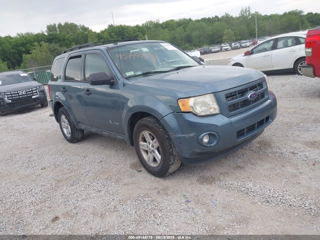Salvage Ford Escape Image