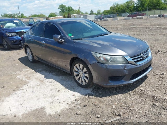Salvage Honda Accord Image