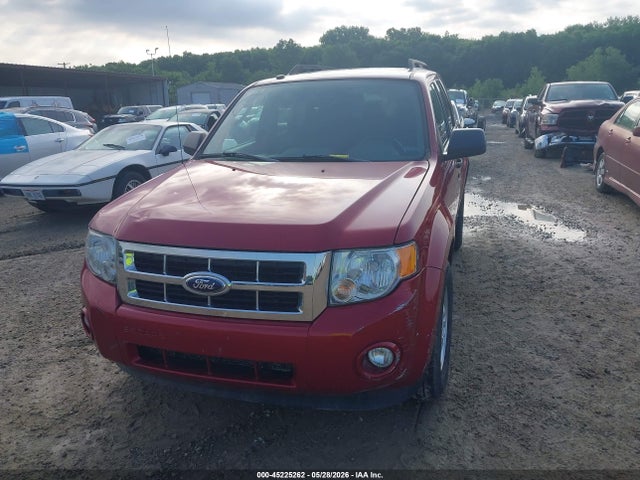 Ford Escape Xlt