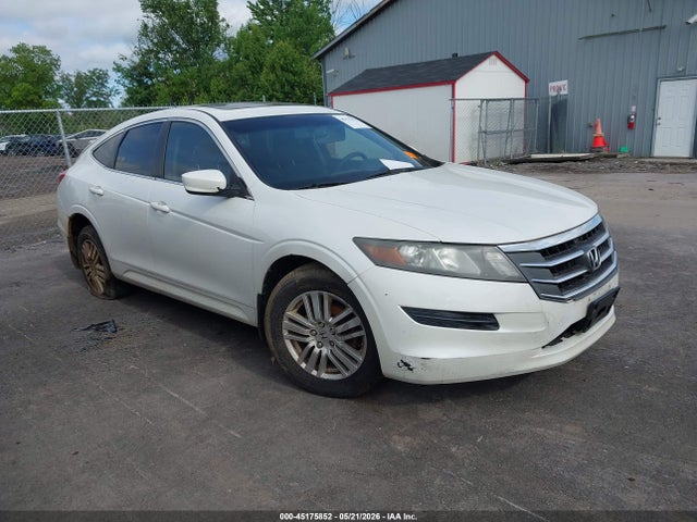 Salvage Honda Crosstour Image