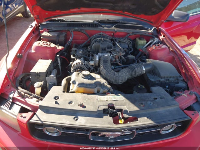 Ford Mustang V6