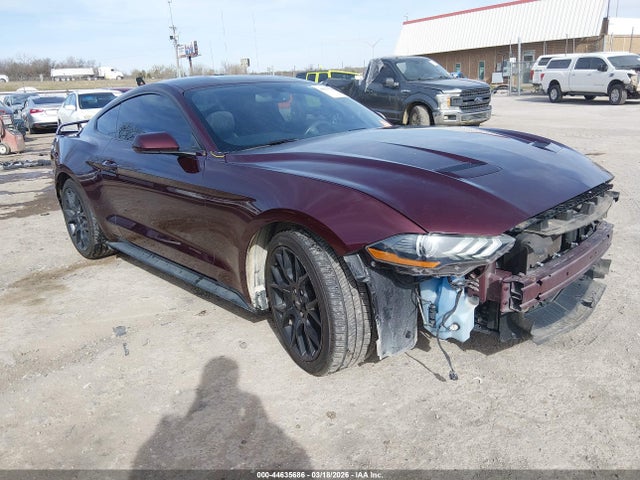 Salvage Ford Mustang Image