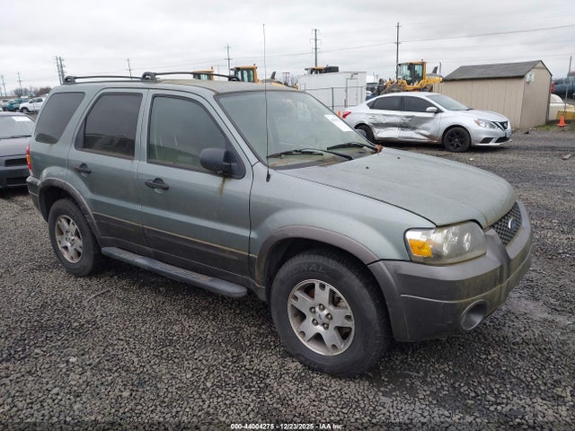 Salvage Ford Escape Image