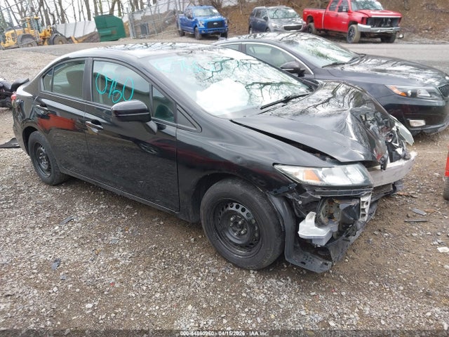 Salvage Honda Civic Image