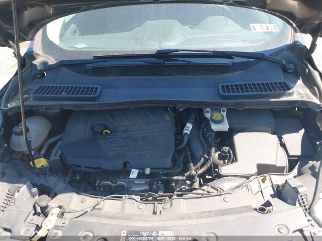 Ford Escape Sel