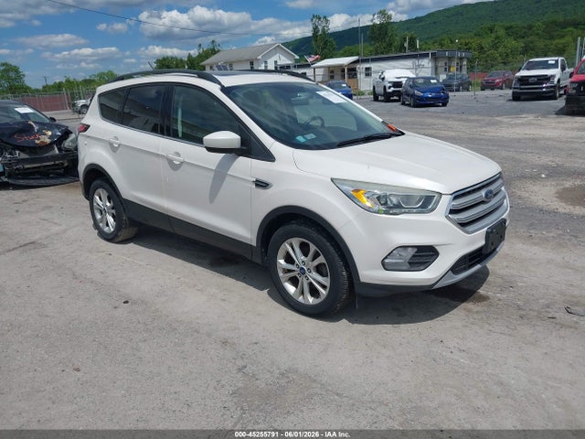 Salvage Ford Escape Image