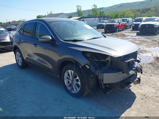 Salvage Ford Escape Image
