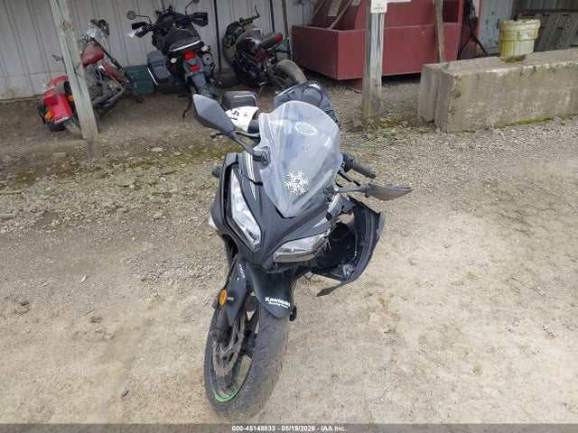 Kawasaki Ex300 B
