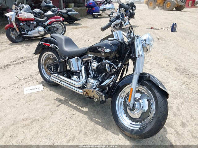 Salvage Harley-Davidson Flstf Image