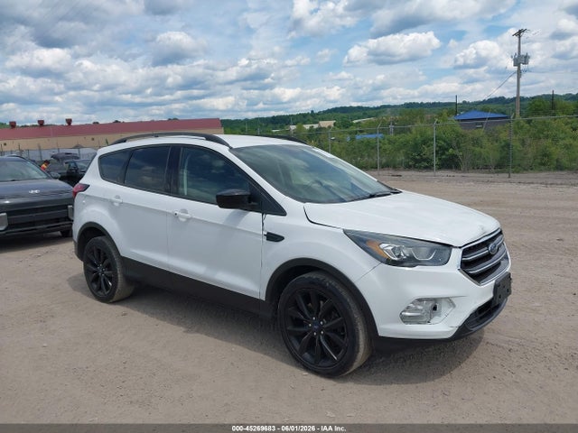 Salvage Ford Escape Image