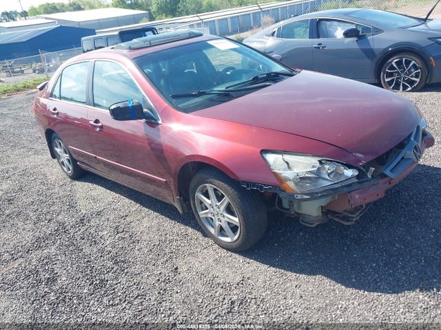 Salvage Honda Accord Image